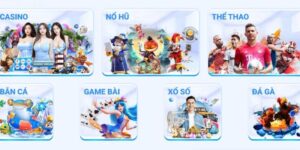 Các đánh giá khách quan đến từ phía người dùng